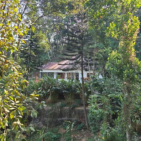 Anivilla Holiday Home Kunjithanny Anachal Ngoại thất bức ảnh