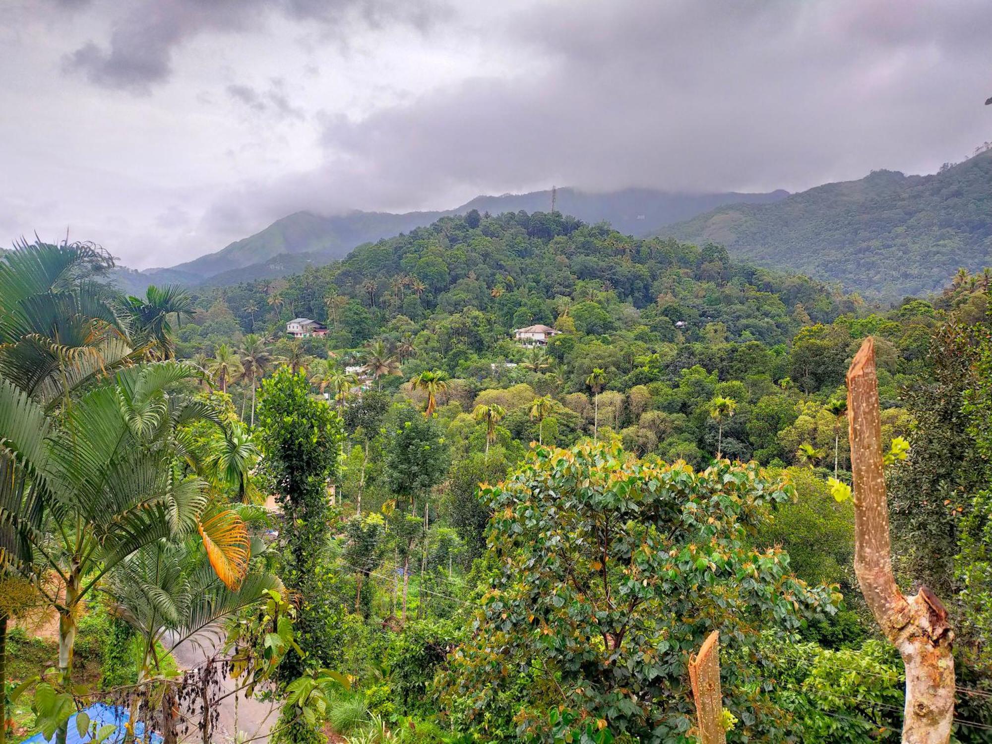 Anivilla Holiday Home Kunjithanny Anachal Ngoại thất bức ảnh