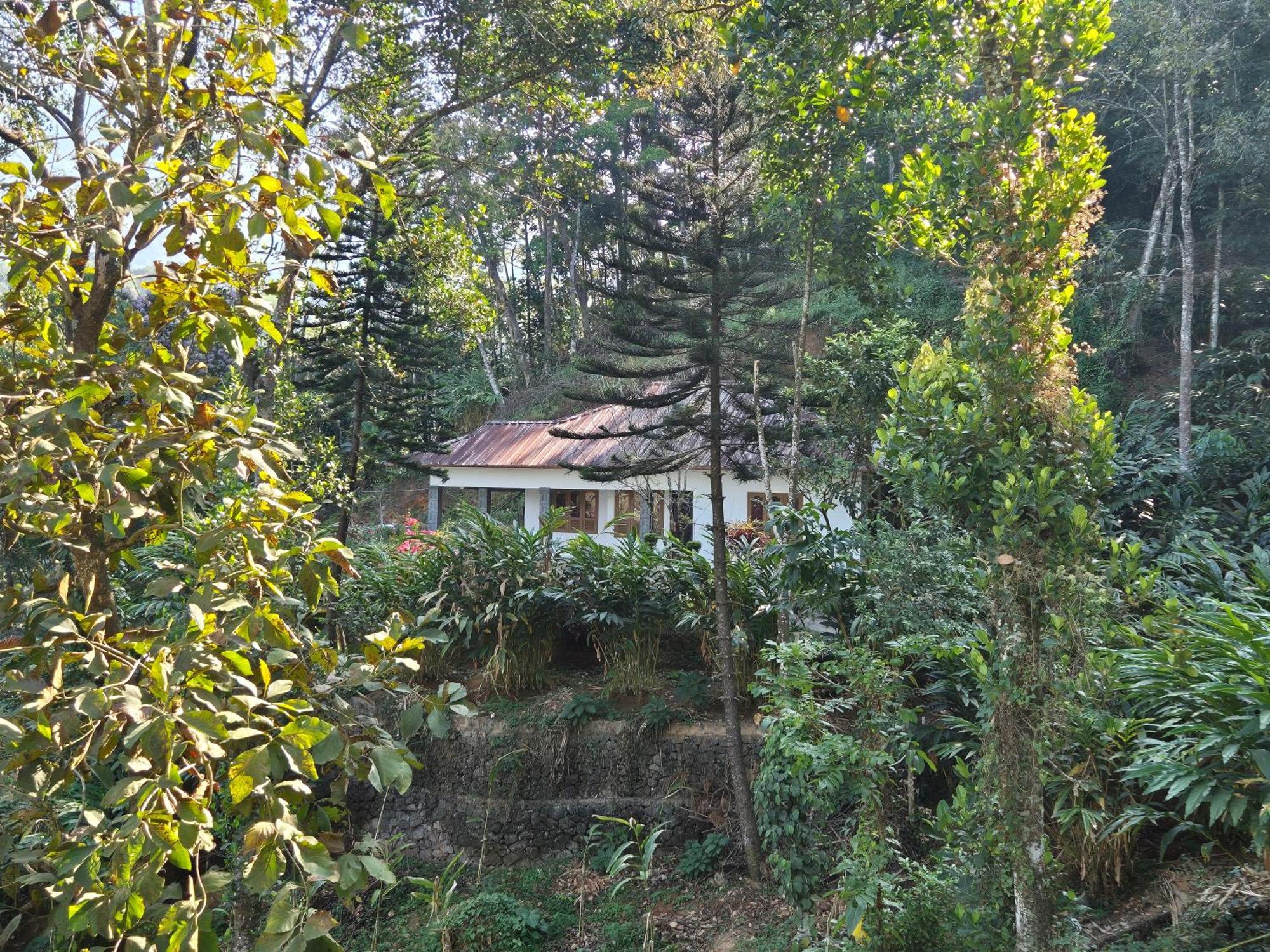 Anivilla Holiday Home Kunjithanny Anachal Ngoại thất bức ảnh